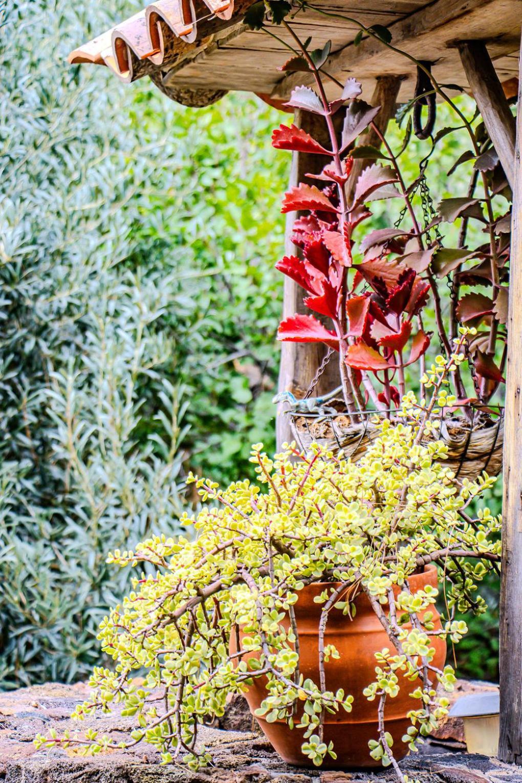 Holiday home La Morada