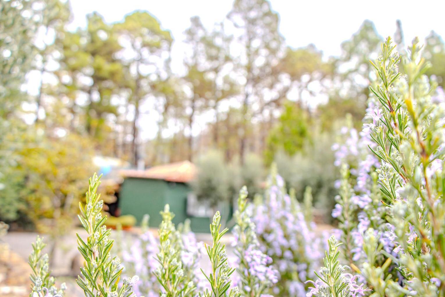 Holiday home La Morada