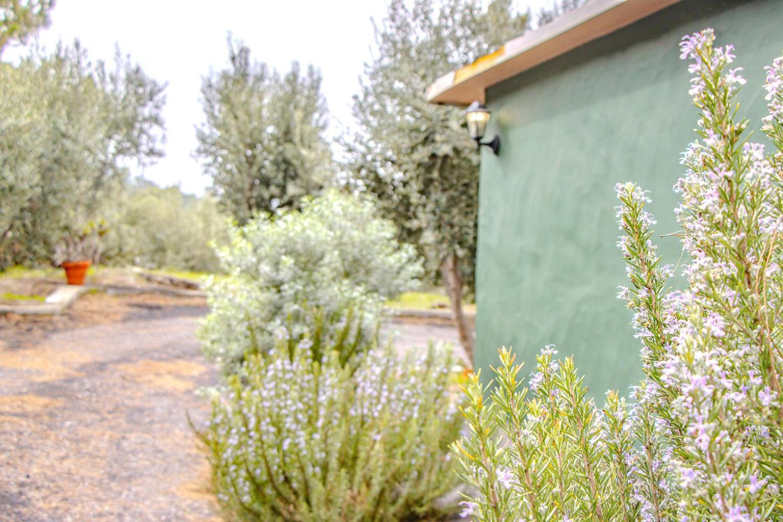 Holiday home La Morada El Paso
